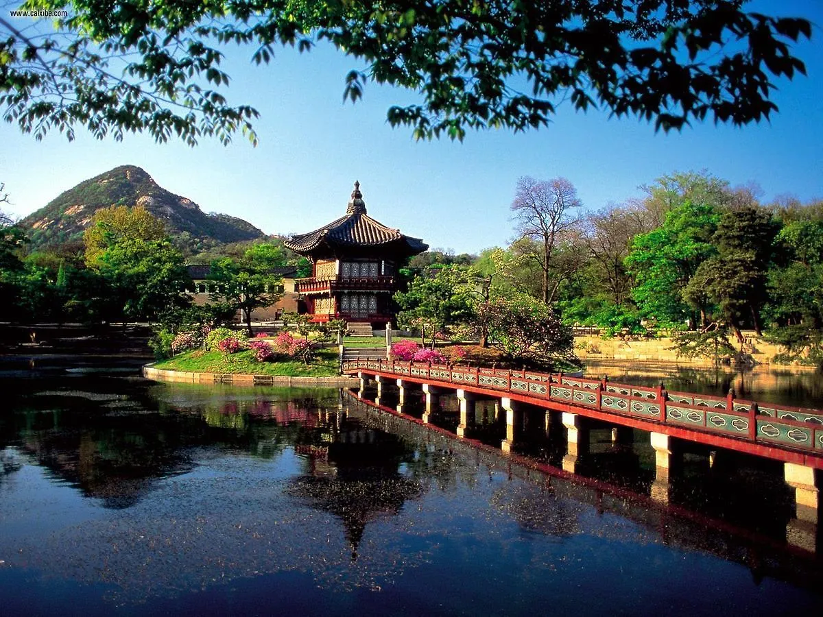首爾 明洞艺术之旅旅舍旅舍 0*,